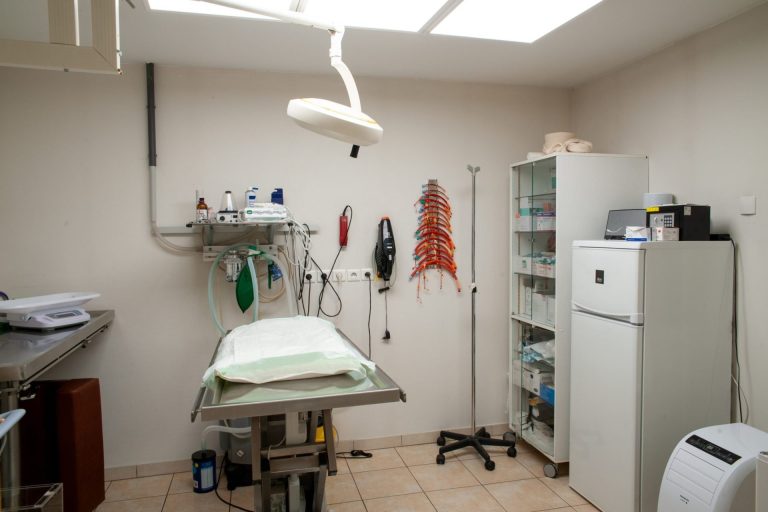 cliniqueveterinairedesbordsdel oise verberie 17