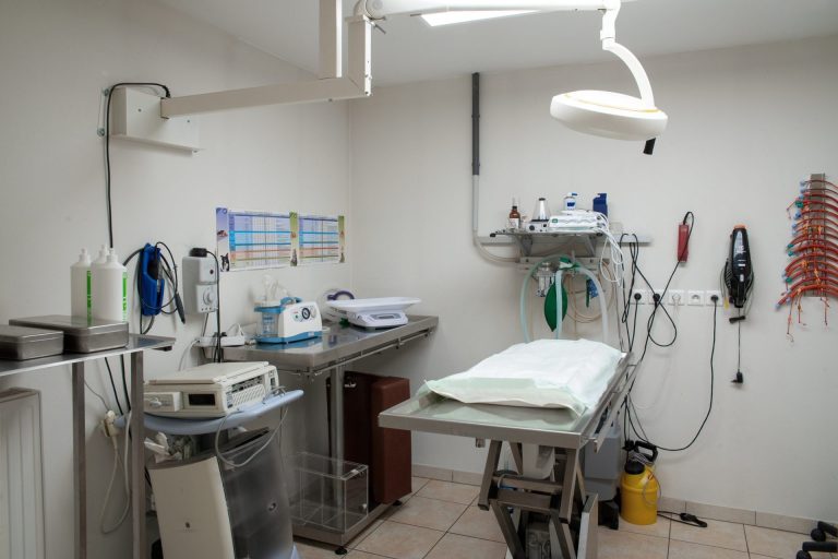 cliniqueveterinairedesbordsdel oise verberie 18