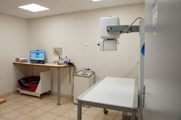 cliniqueveterinairedesbordsdel oise verberie 19