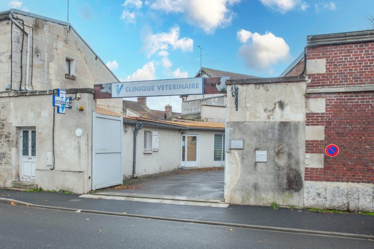 cliniqueveterinairedesbordsdel oise verberie 2