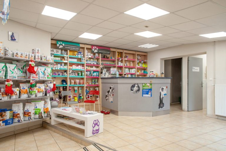 cliniqueveterinairedesbordsdel oise verberie 4