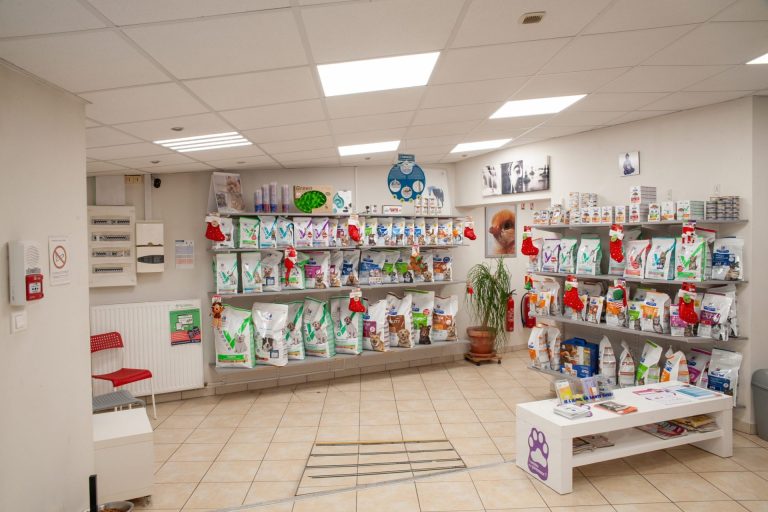 cliniqueveterinairedesbordsdel oise verberie 5