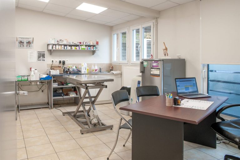 cliniqueveterinairedesbordsdel oise verberie 7
