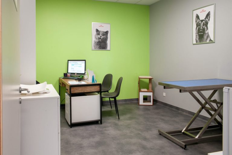 cliniqueveterinairedesoissons soissons 19