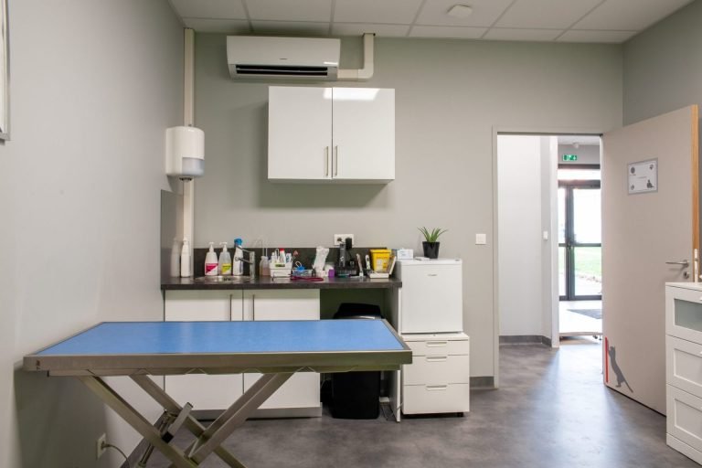 cliniqueveterinairedesoissons soissons 20