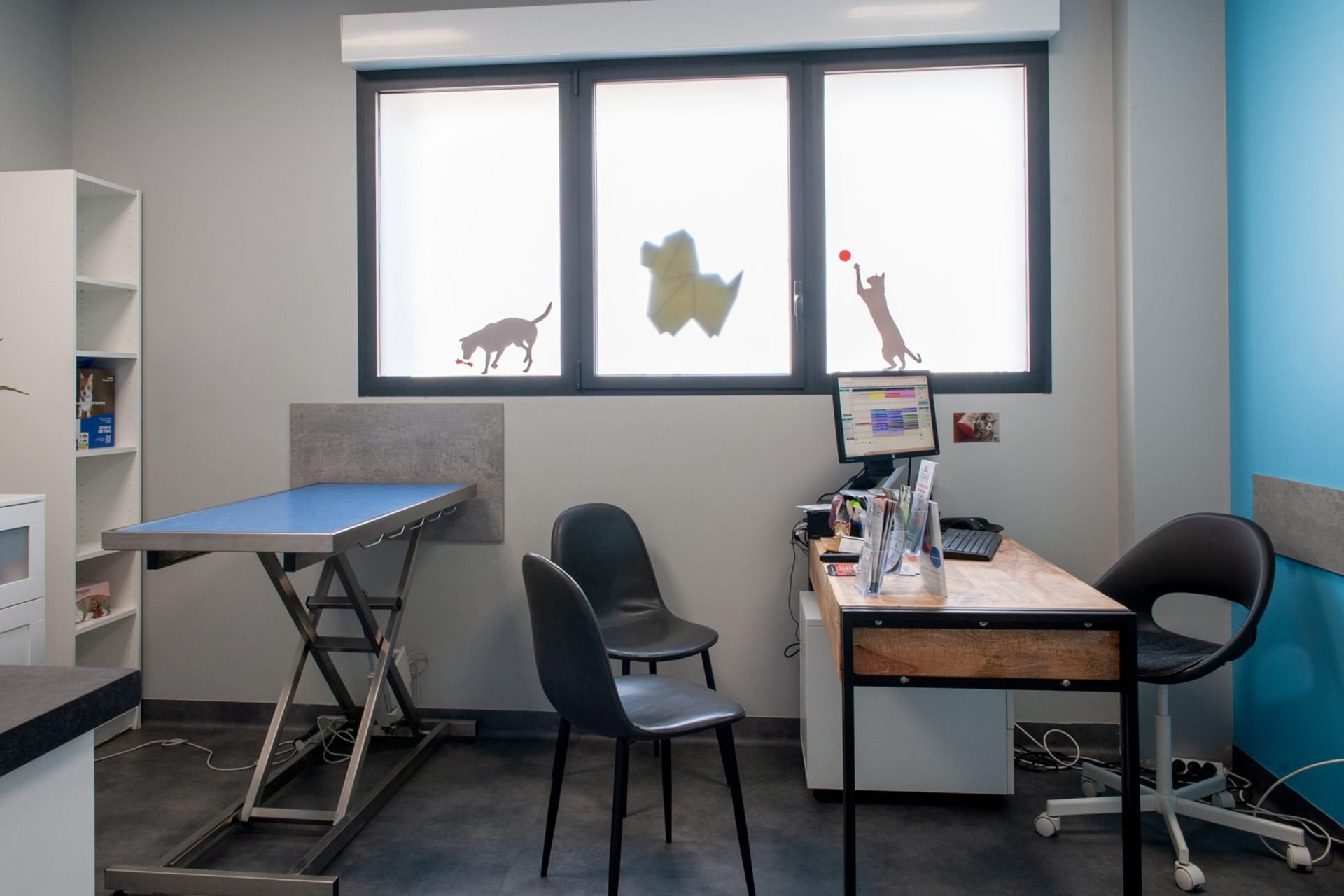 cliniqueveterinairedesoissons soissons 21