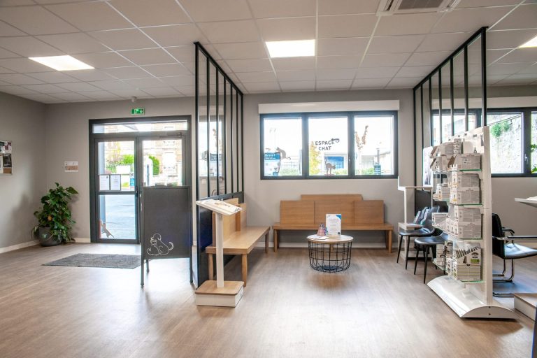 cliniqueveterinairedesoissons soissons 24