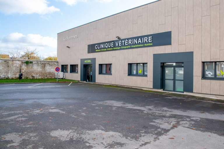 cliniqueveterinairedesoissons soissons 26