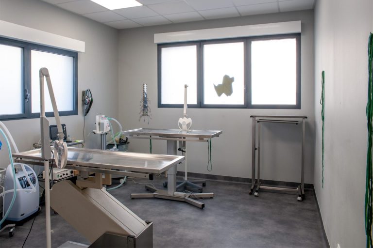 cliniqueveterinairedesoissons soissons 3