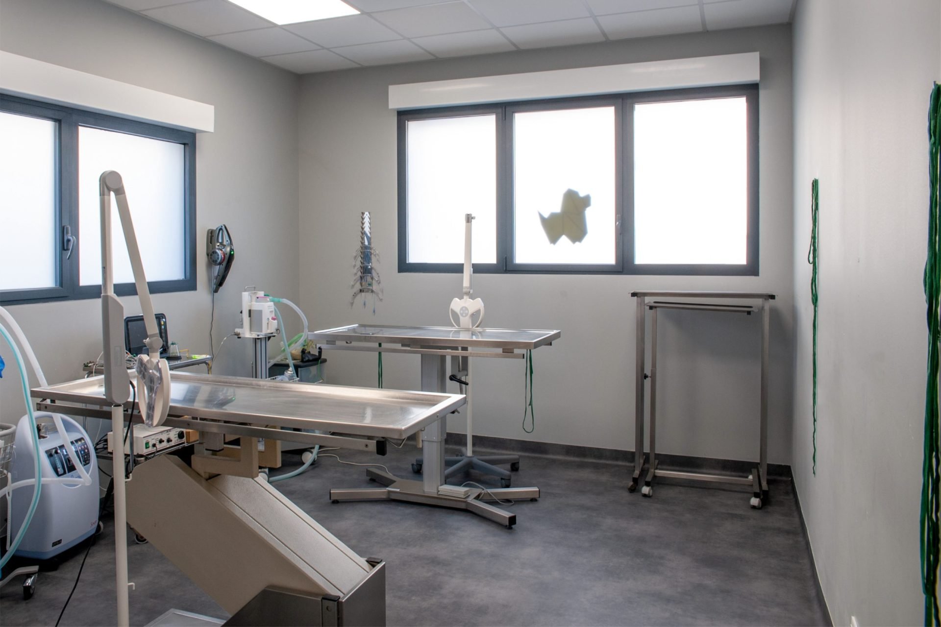 cliniqueveterinairedesoissons soissons 3
