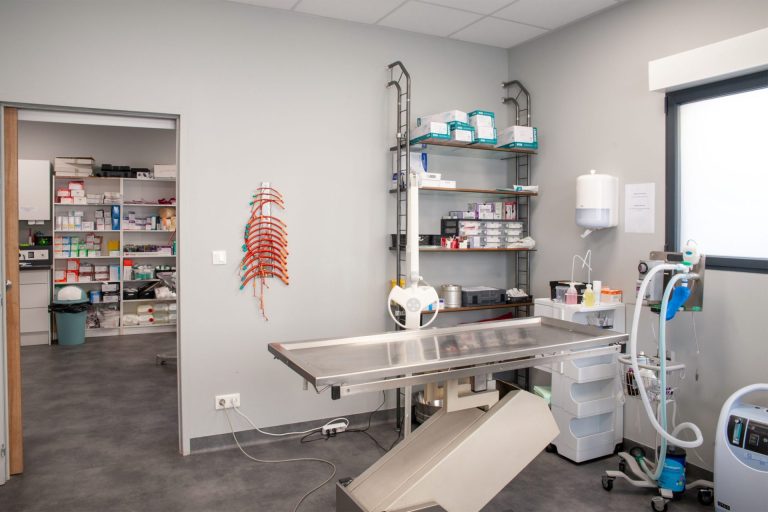 cliniqueveterinairedesoissons soissons 4