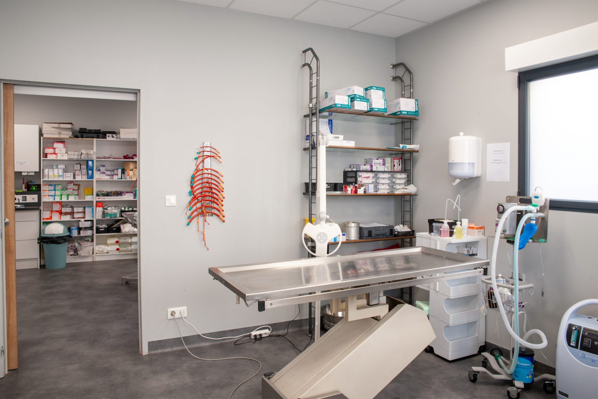 cliniqueveterinairedesoissons soissons 4