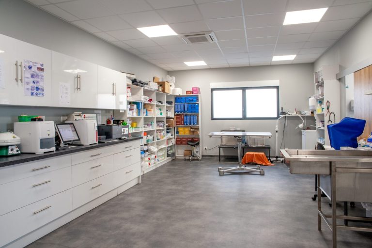cliniqueveterinairedesoissons soissons 5