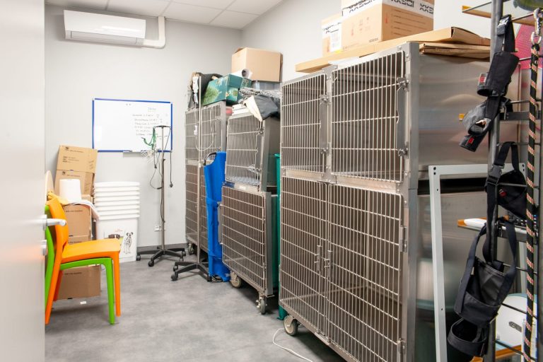 cliniqueveterinairedesoissons soissons 8