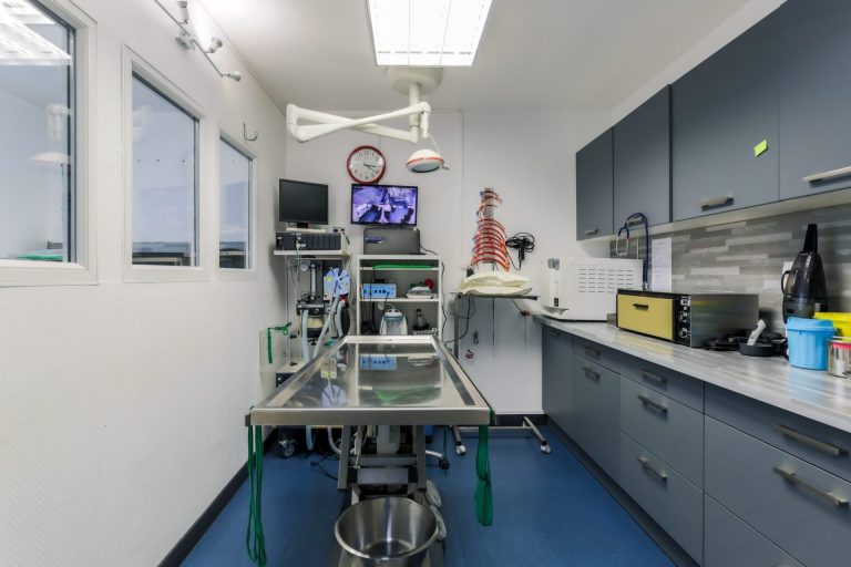 cliniqueveterinairedespoilus seremange erzange 18