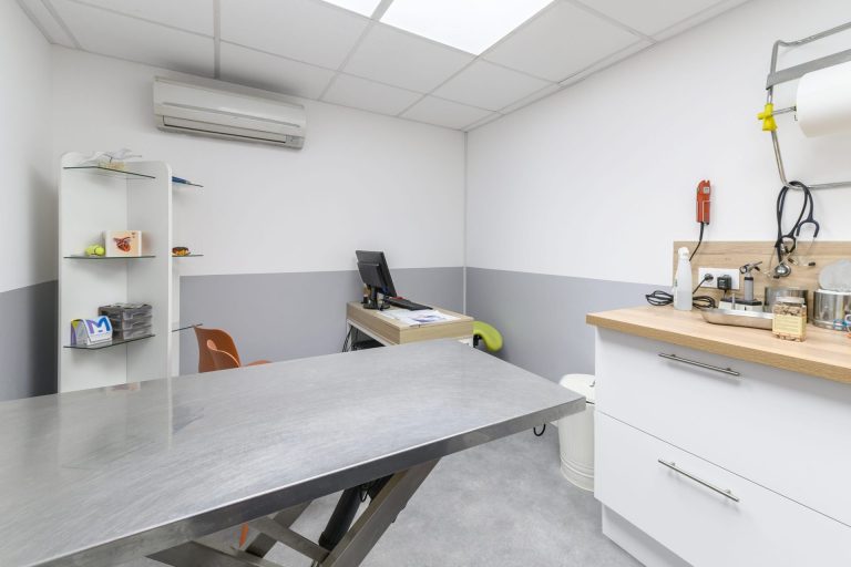 cliniqueveterinairedesvoconces vaisonlaromaine 16