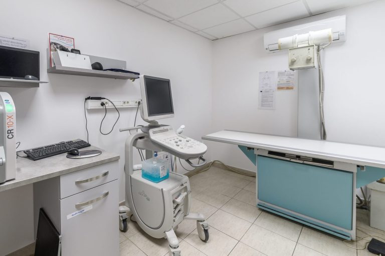cliniqueveterinairedesvoconces vaisonlaromaine 5