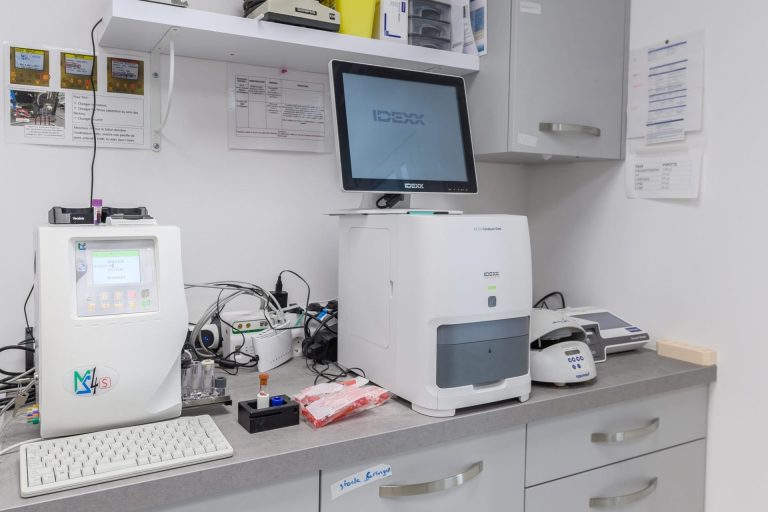 cliniqueveterinairedesvoconces vaisonlaromaine 6