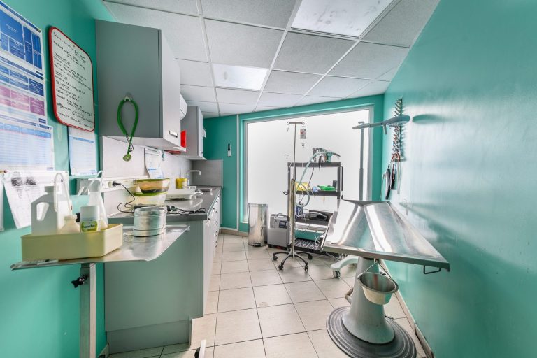 cliniqueveterinairedesvoconces vaisonlaromaine 8