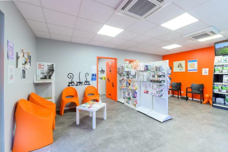 cliniqueveterinairedevairessurmarne vairessurmarne 10