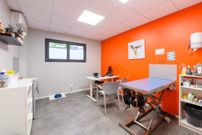 cliniqueveterinairedevairessurmarne vairessurmarne 12