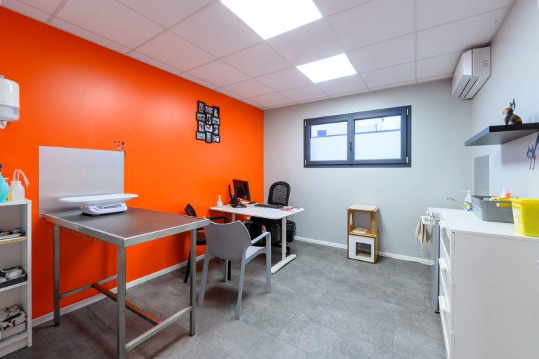 cliniqueveterinairedevairessurmarne vairessurmarne 13