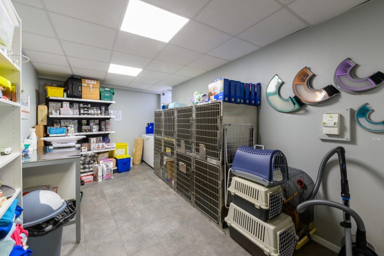 cliniqueveterinairedevairessurmarne vairessurmarne 16