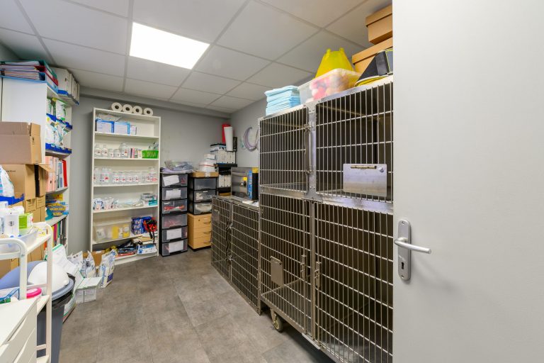 cliniqueveterinairedevairessurmarne vairessurmarne 17