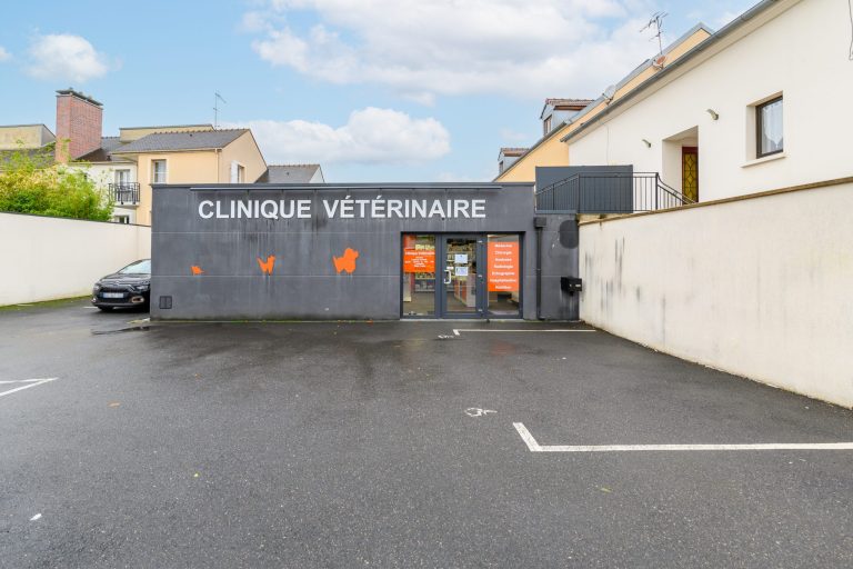 cliniqueveterinairedevairessurmarne vairessurmarne 18