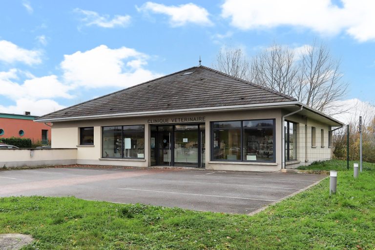 cliniqueveterinairedubac dormans 1