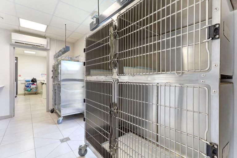 cliniqueveterinairedubac dormans 20