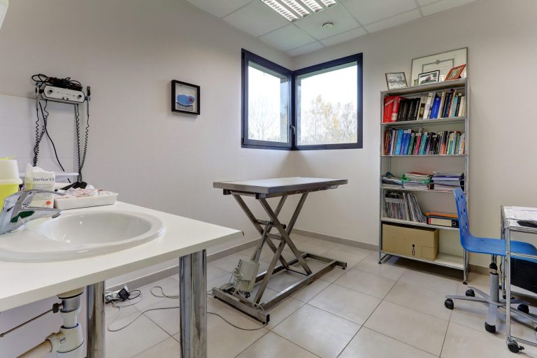 cliniqueveterinairedubac dormans 21