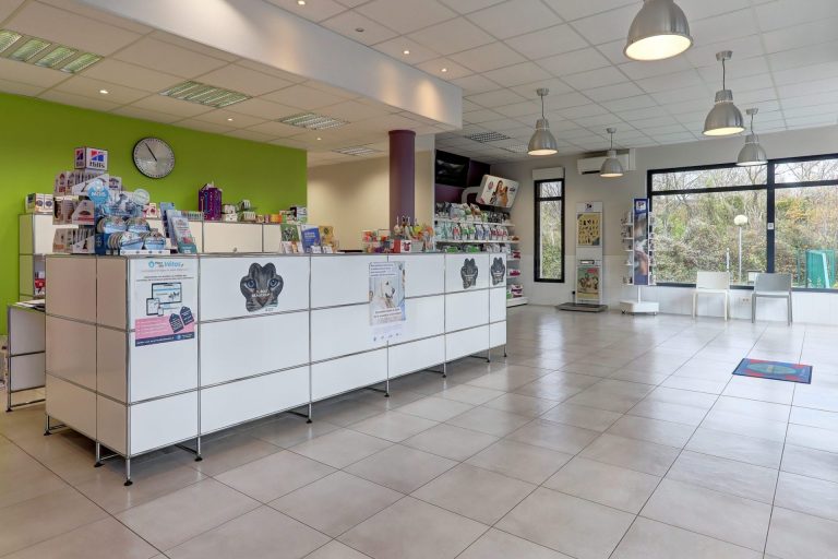 cliniqueveterinairedubac dormans 3
