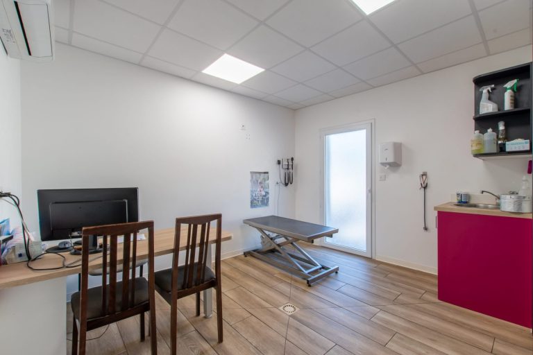 cliniqueveterinaireducapitoul lodeve 1