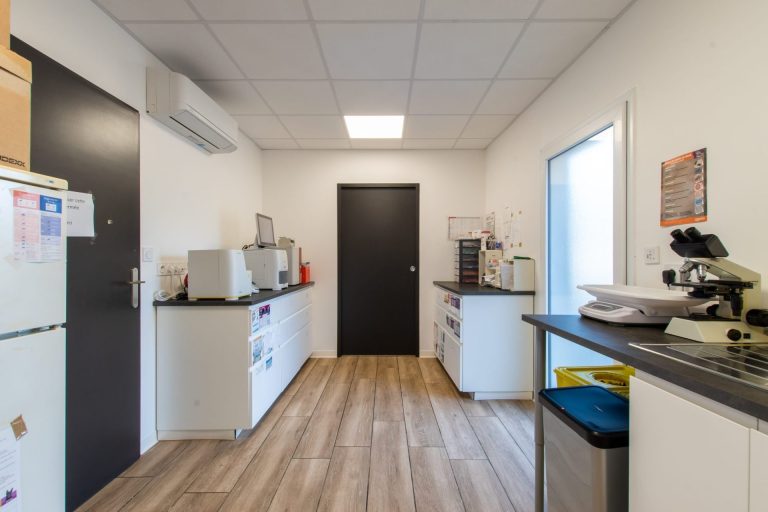 cliniqueveterinaireducapitoul lodeve 2