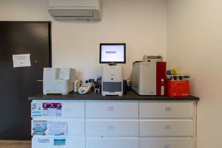 cliniqueveterinaireducapitoul lodeve 3