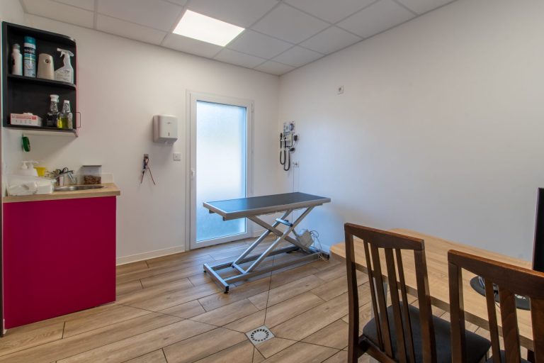 cliniqueveterinaireducapitoul lodeve 4