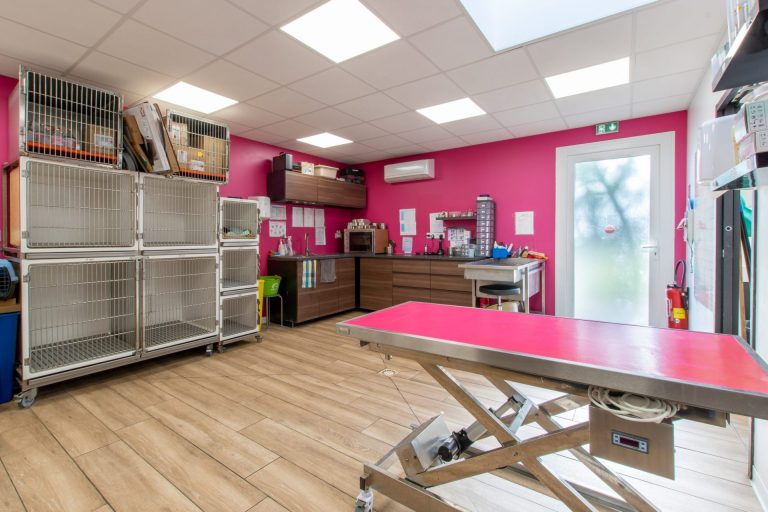 cliniqueveterinaireducapitoul lodeve 6