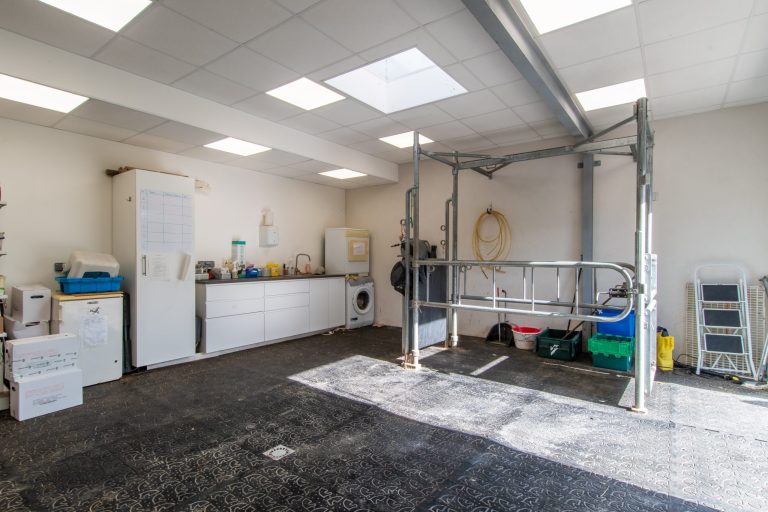 cliniqueveterinaireducapitoul lodeve 8