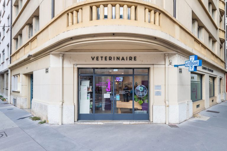 cliniqueveterinaireducrayon lyon 3