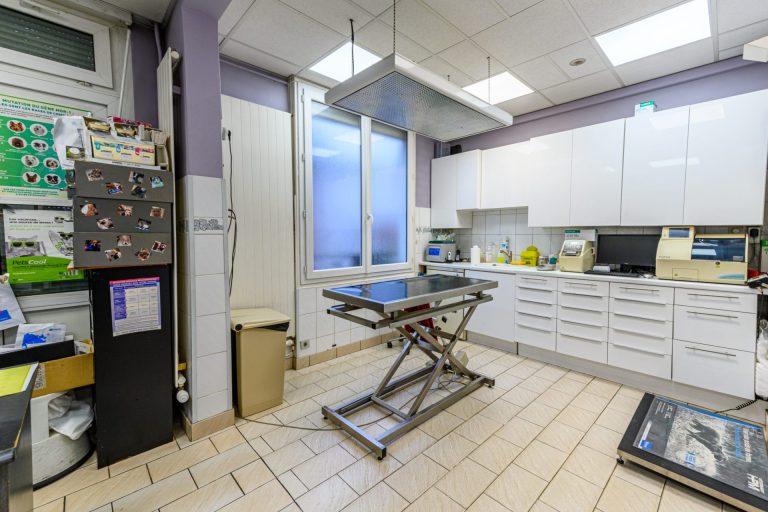 cliniqueveterinairedudrdupont aulnaysousbois 21