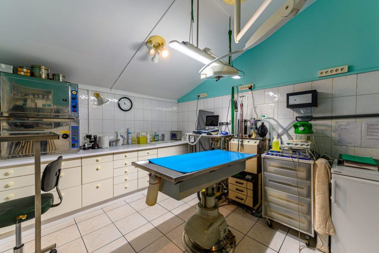 cliniqueveterinairedudrdupont aulnaysousbois 23