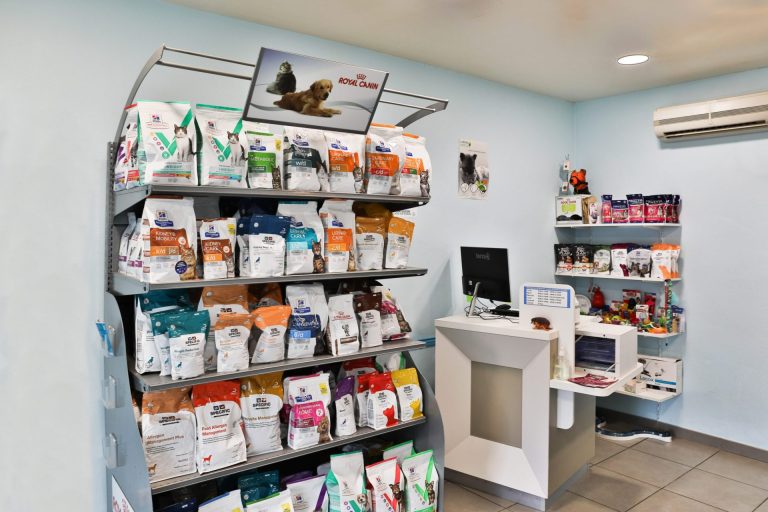 cliniqueveterinairedupayre talmontsaint hilaire 1