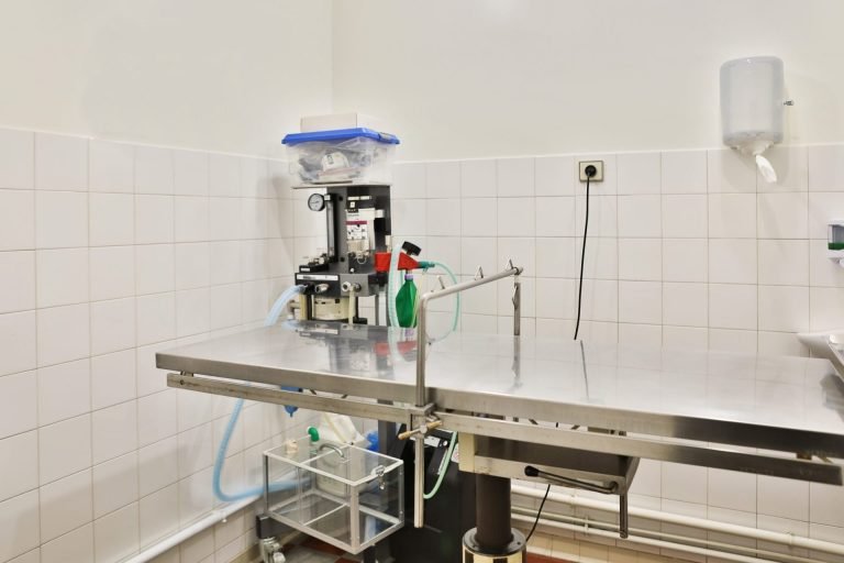 cliniqueveterinairedupayre talmontsaint hilaire 15