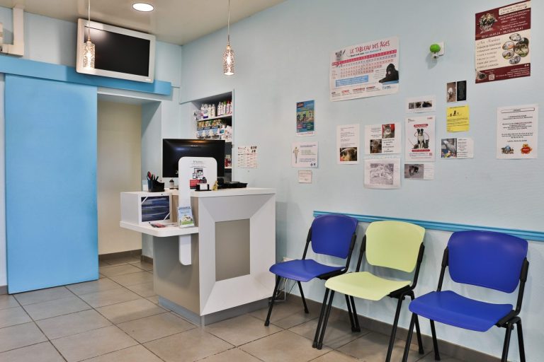 cliniqueveterinairedupayre talmontsaint hilaire 3