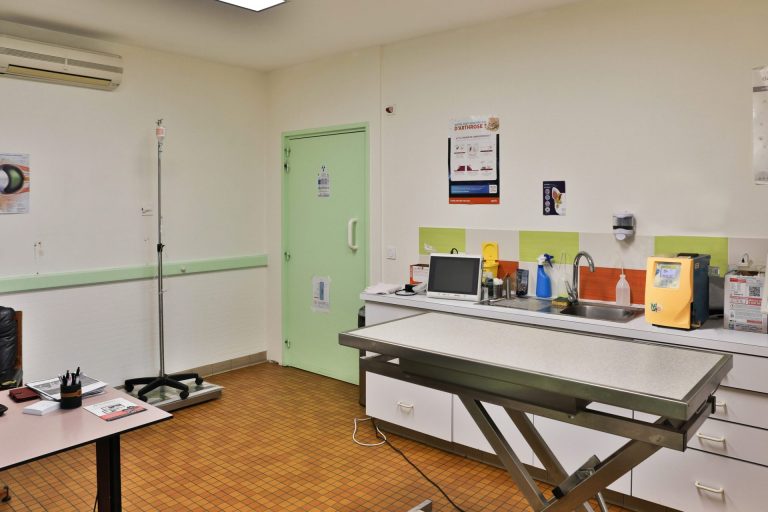 cliniqueveterinairedupayre talmontsaint hilaire 4