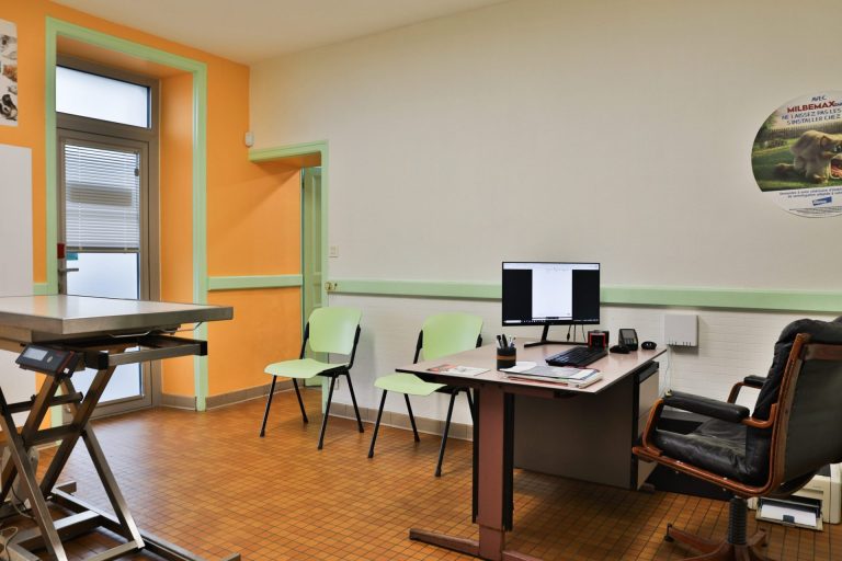 cliniqueveterinairedupayre talmontsaint hilaire 5