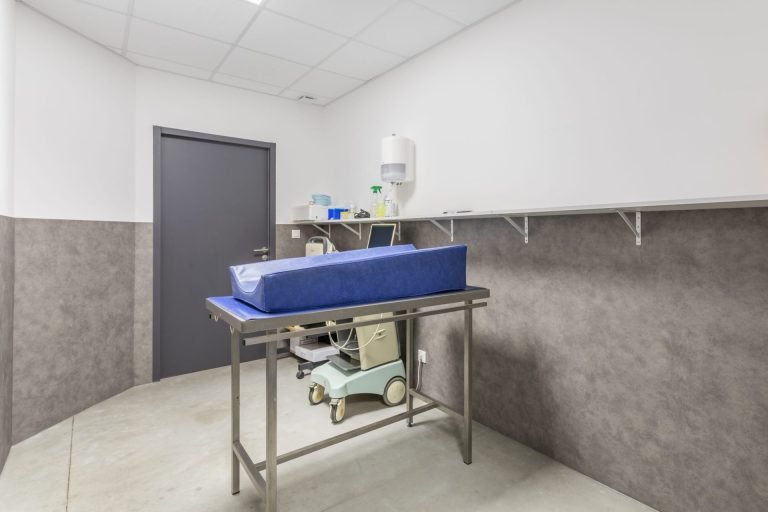 cliniqueveterinaireduroure mallemort 4