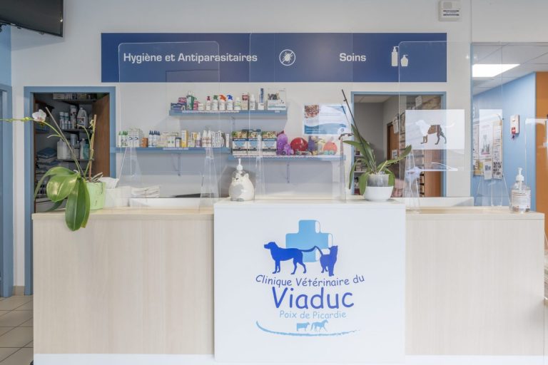 cliniqueveterinaireduviaduc poixdepicardie 10