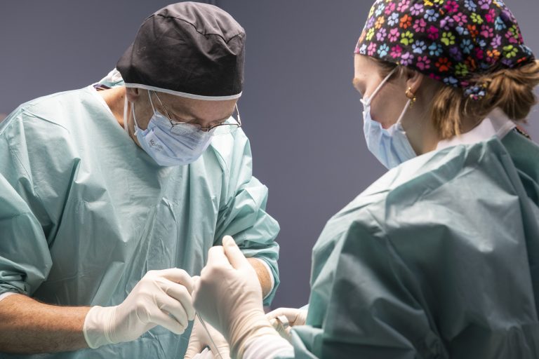 cliniqueveterinaireduviaduc poixdepicardie 16